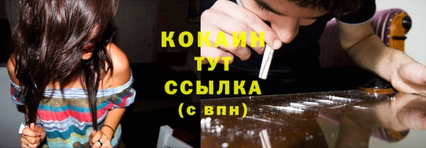 гидра Белокуриха