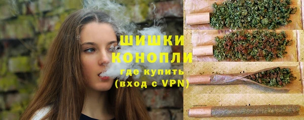 метадон Богданович