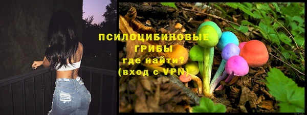 спайс Богородск