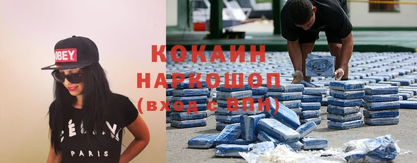 гидра Белокуриха