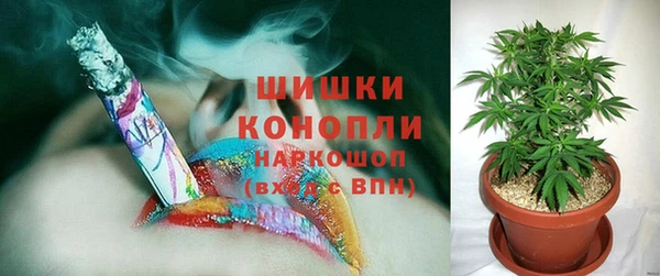 метадон Богданович